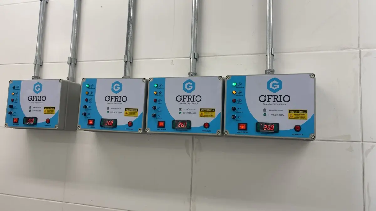 Interior de câmara fria para congelados