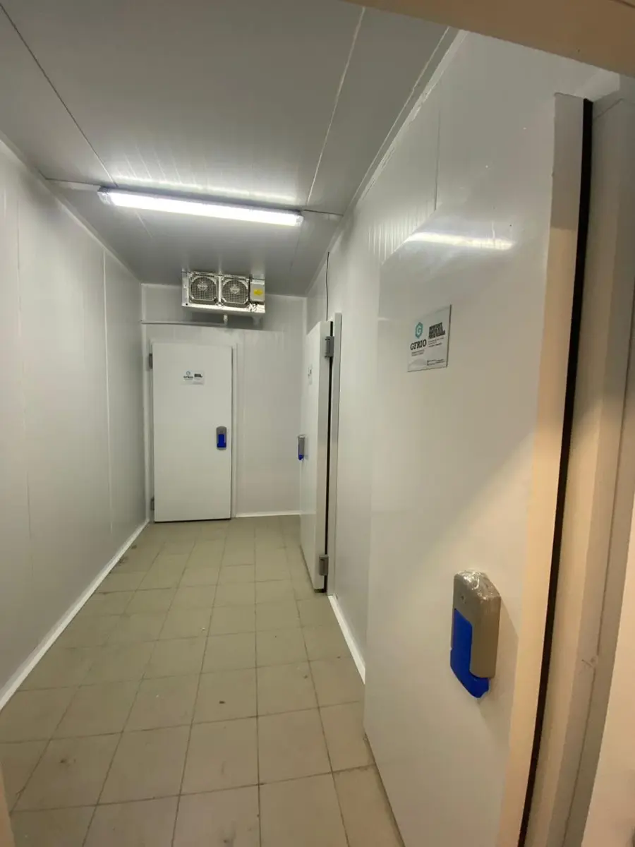 Porta para câmara fria de congelados - Gfrio